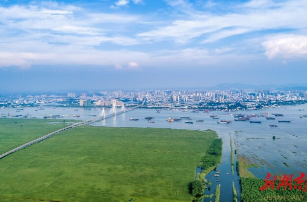 奋进新征程⑭｜初心如磐担使命 忠诚履职绽芳华