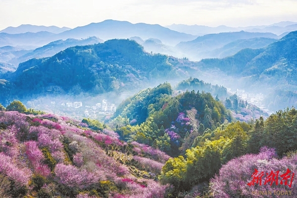 文化中国行·长江之歌⑥丨这一口地道徽菜，“藏”着人间至味