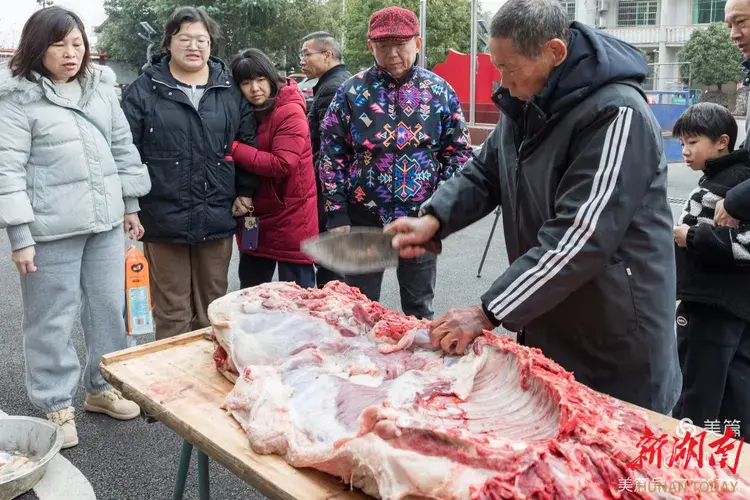 殺年豬、包餃子、磨豆腐 “新村民”回村過節(jié)享冬至樂趣