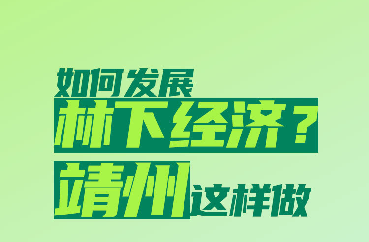 林下“靖”生金③｜長圖：如何發(fā)展林下經(jīng)濟，靖州這樣做