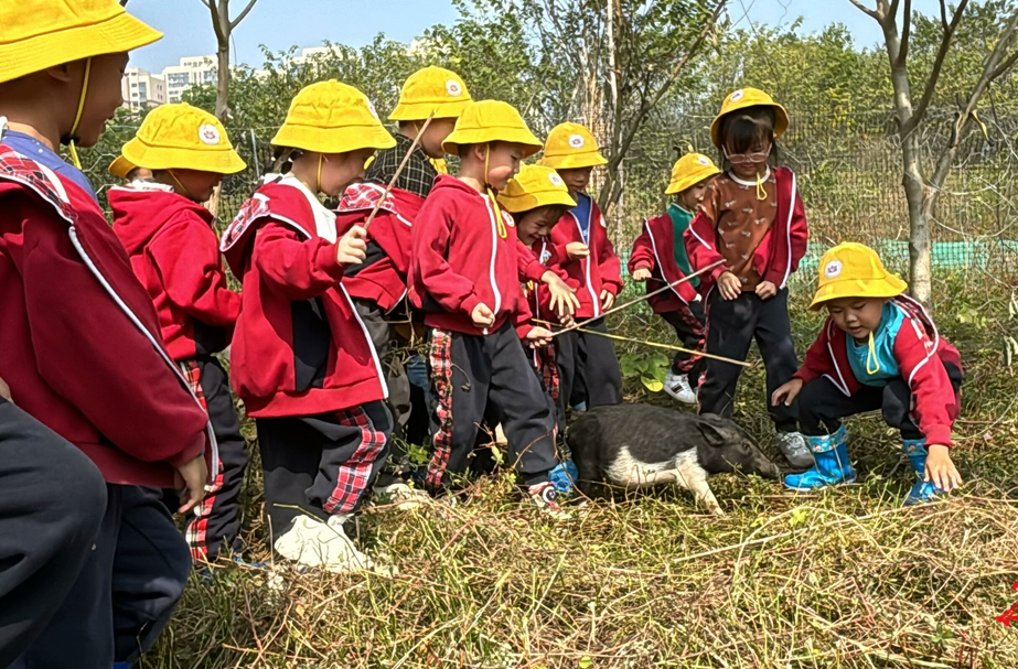 勞動教育融入幼兒日常，見證萌娃別樣成長