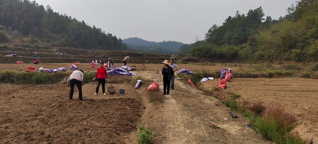 湖南邵阳小溪市镇：聚焦民生百态，传递群众心声