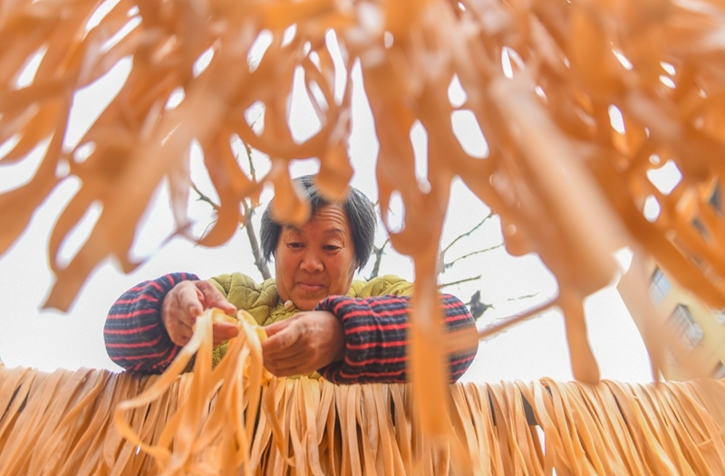 紅薯粉飄香 村民喜增收