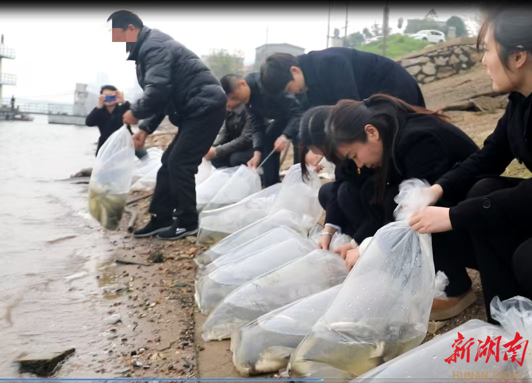 以“魚”還“漁”護(hù)生態(tài) 湘潭縣法院聯(lián)合多部門開展增殖放流活動