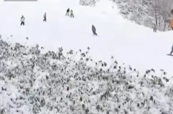 一中国籍游客在日本滑雪场遇难，医院称其死于窒息