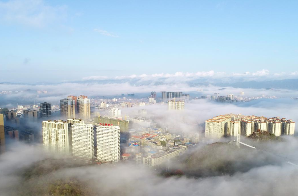 宁远县域经济加速跑，这支“智囊团”贡献了不少“金点子”