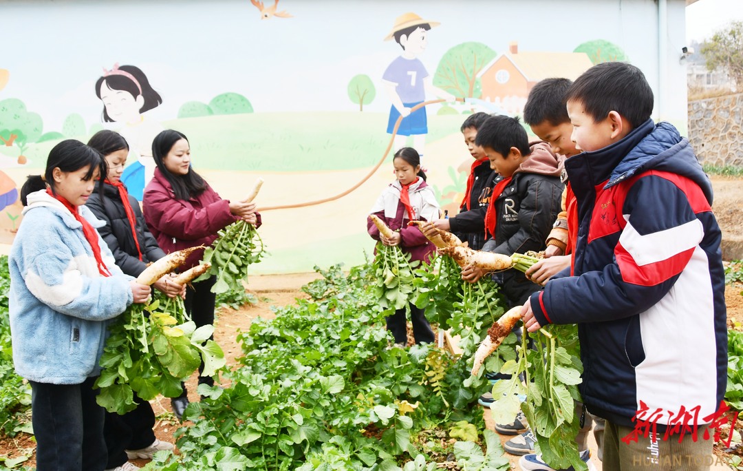  江永县：劳动基地学技能