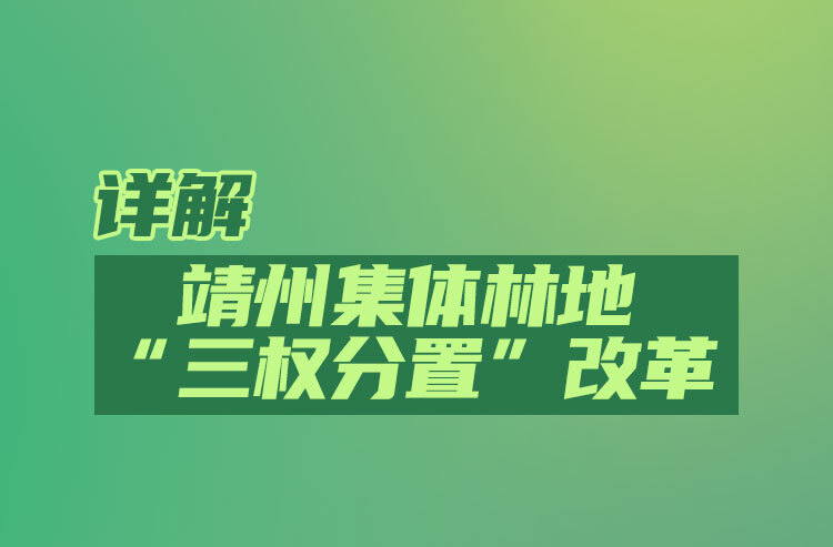 林下“靖”生金⑤｜一圖讀懂靖州集體林地“三權(quán)分置”改革