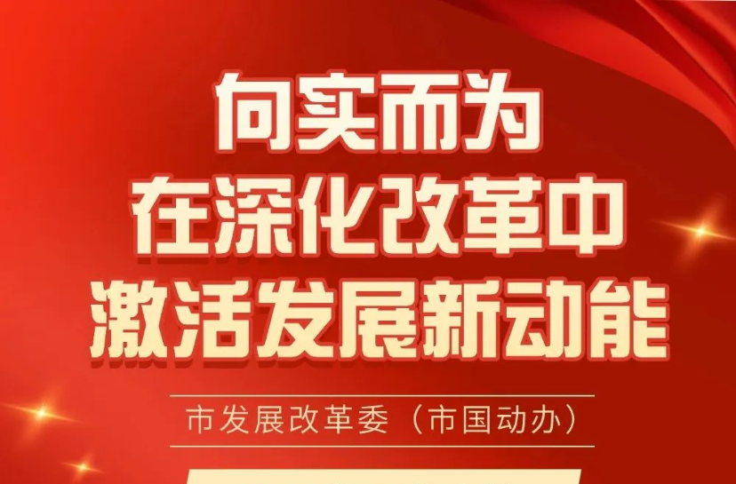 長(zhǎng)圖｜向?qū)嵍鵀?，在深化改革中激活發(fā)展新動(dòng)能——常德市發(fā)展改革委（市國(guó)動(dòng)辦）2024年工作走筆