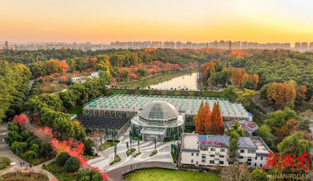 省植物園“天際苑”科研展覽溫室對外開放