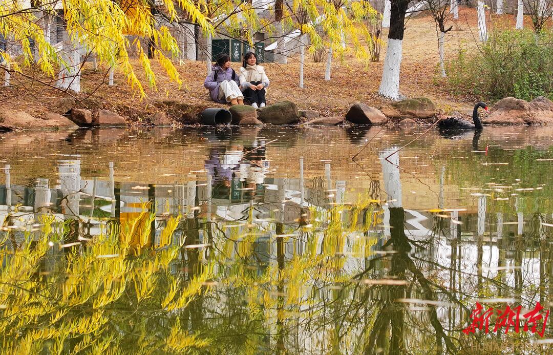 組圖｜南華大學(xué)：冬日校園 色彩斑斕