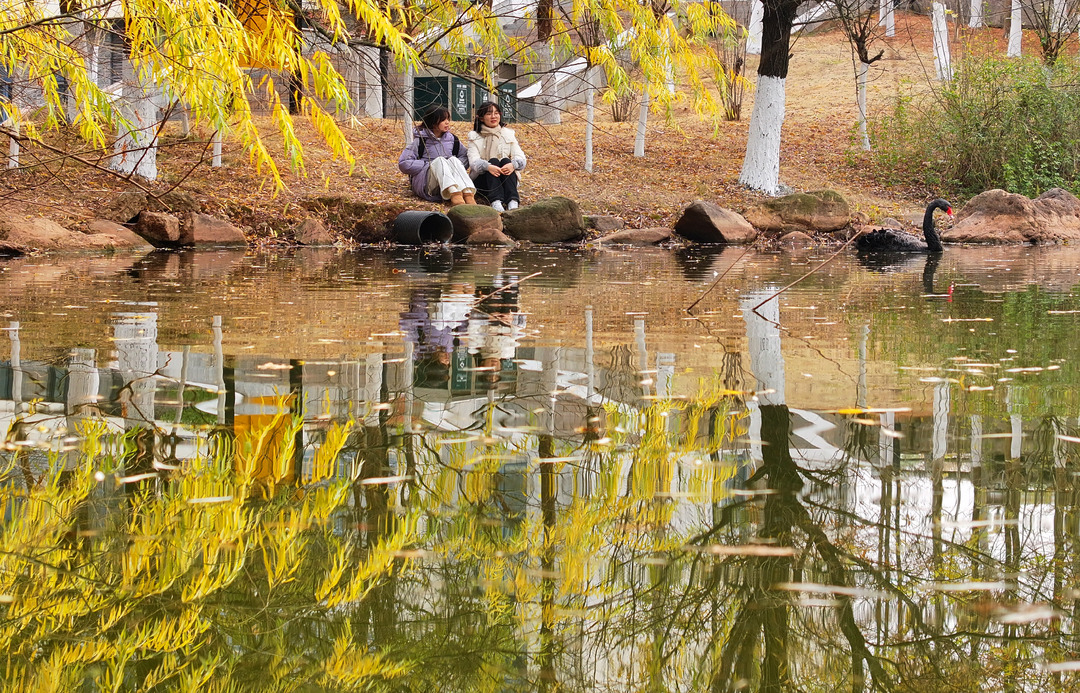 南華大學(xué)：冬日校園 色彩斑斕