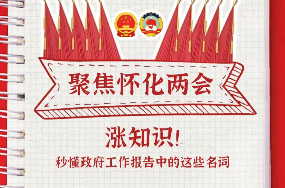 漲知識！政府工作報告名詞學(xué)習(xí)手賬來了