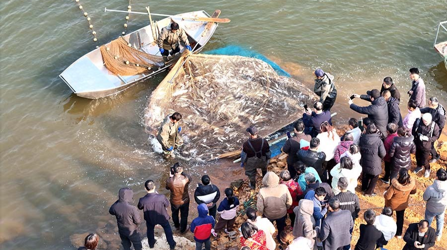 魚躍人歡迎豐年