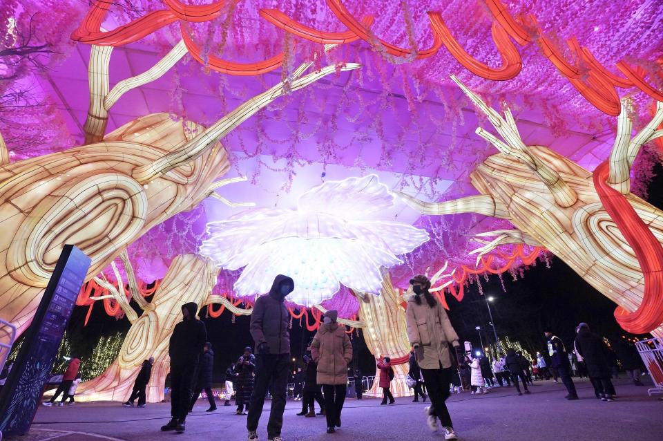 “北京千燈夜”開幕，溫榆河公園成璀璨燈海