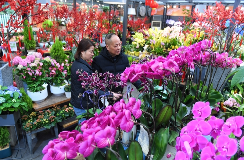 購(gòu)花卉 迎新年