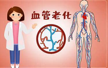 抗血管衰老 需做好这10件事