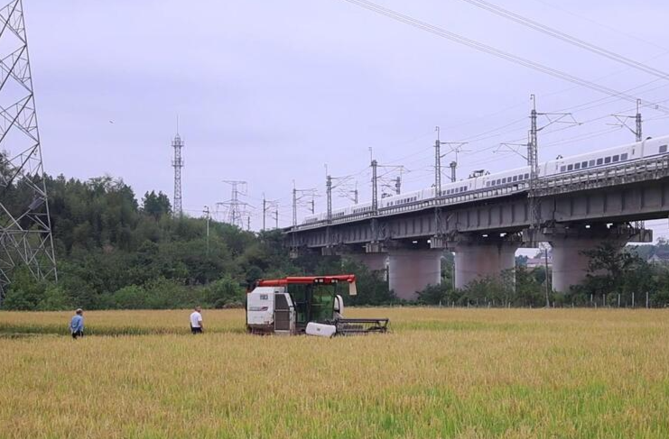 以改革求突破、以改革抓创新，衡阳县激活县域经济高质量发展“一池活水”