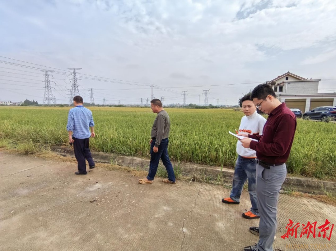 巡出实效 巡出幸福 长沙望城区巡察整改促民生实事落地见效