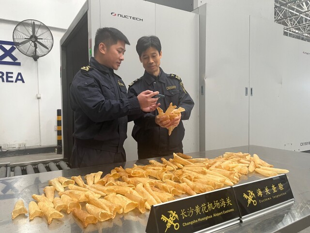 Hunan Starts Import of Dried Fish Maw from Uganda