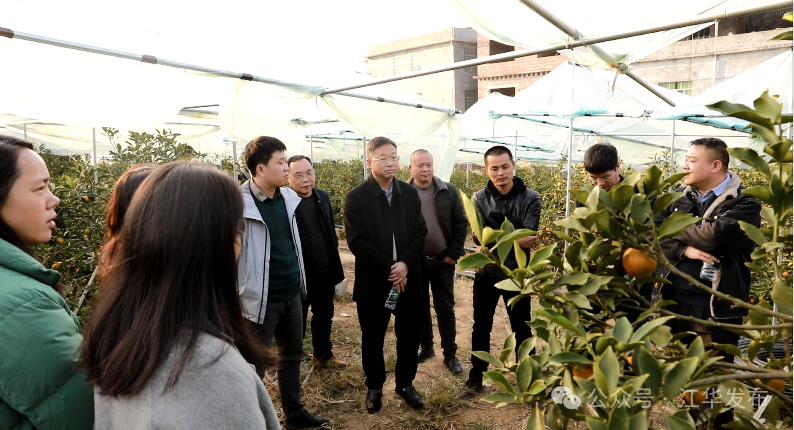 江华：人大代表开展水果种植产业发展调研