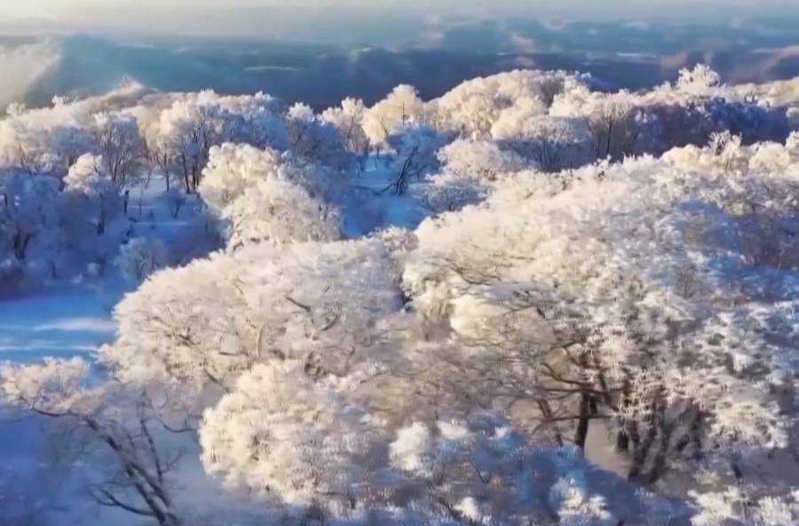 冷空气即将发力打破偏暖格局！南方的初雪要“到货”了？！