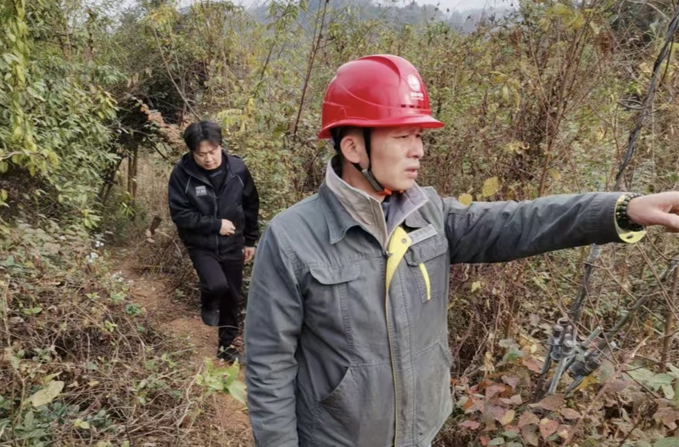 政企合力防山火！耒阳市：在山火高发区域的线路通道开辟防火隔离带