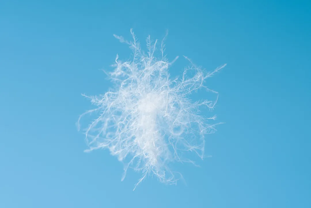 买了没几年的羽绒服，怎么就不保暖了？原来很多人做错了这 2 点！