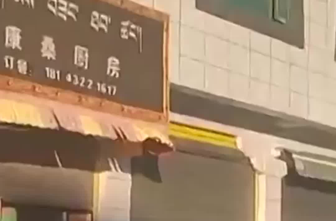 西藏定日县已开展救援同时组织群众安全撤离