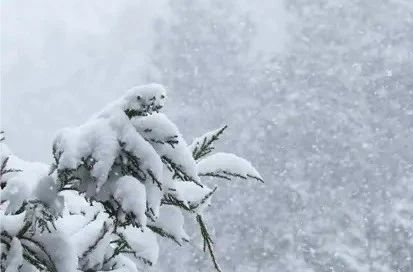 -3℃！2025年第一场雪来了，这些事情要小心→