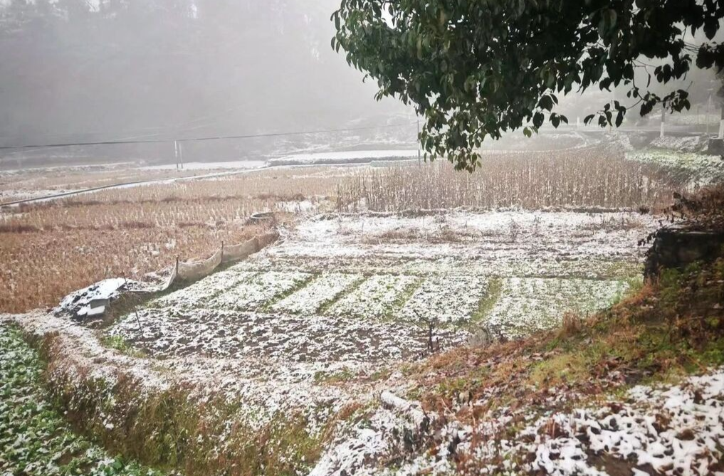 湖南降雪如期而至！今明兩天范圍繼續(xù)擴大