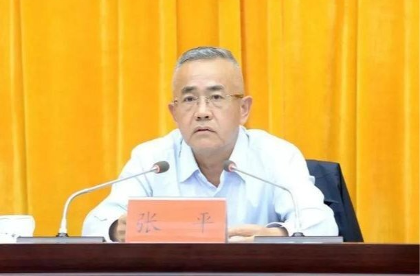 检察机关依法对张平涉嫌受贿案提起公诉