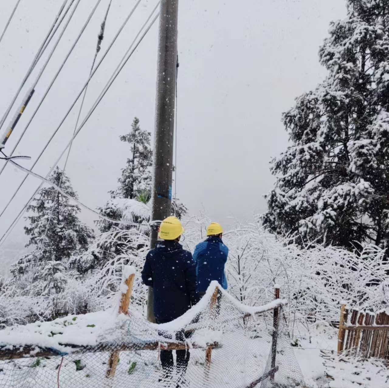 会同县供电公司：加强线路覆冰监测 风雪无惧保供电