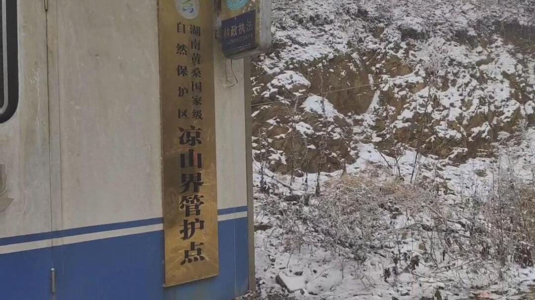 邵陽綏寧：黃桑保護區(qū)護林員踏雪巡山，守護野生動物“家園”