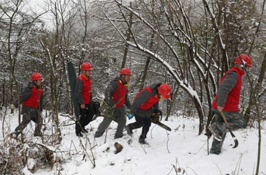 Electricity Workers Inspect Power Lines After Snowfall