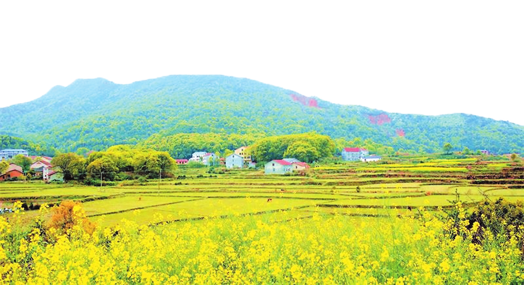 黄茆山下方家塅