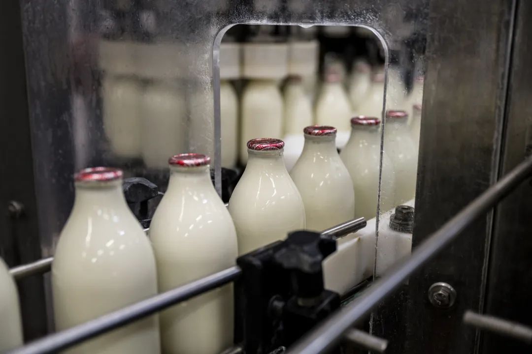 这种奶真不是“垃圾奶”，却一直被误解→