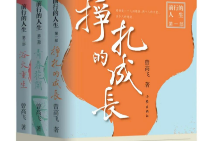 艺评｜卢罗敢：追忆70年代的湖南农村生活—— 评《前行的人生》