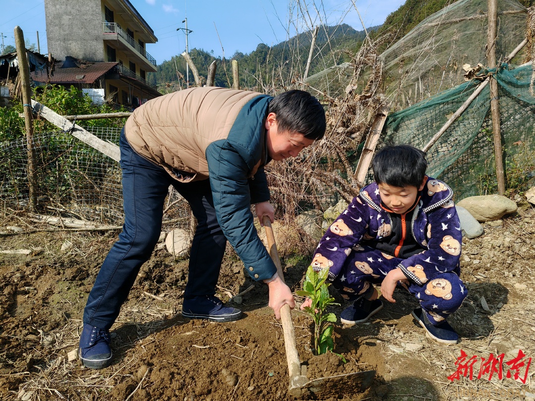 绥宁县司法局：党建聚合力 双飞村发展添动力