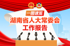 一图速览丨湖南省人大常委会工作报告