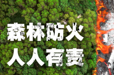 岳阳市林业局党组书记、局长王保林赴平江县加义镇督导森林防火