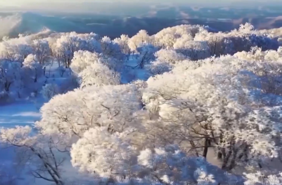 下周，2025新一轮大范围雨雪预约上了！