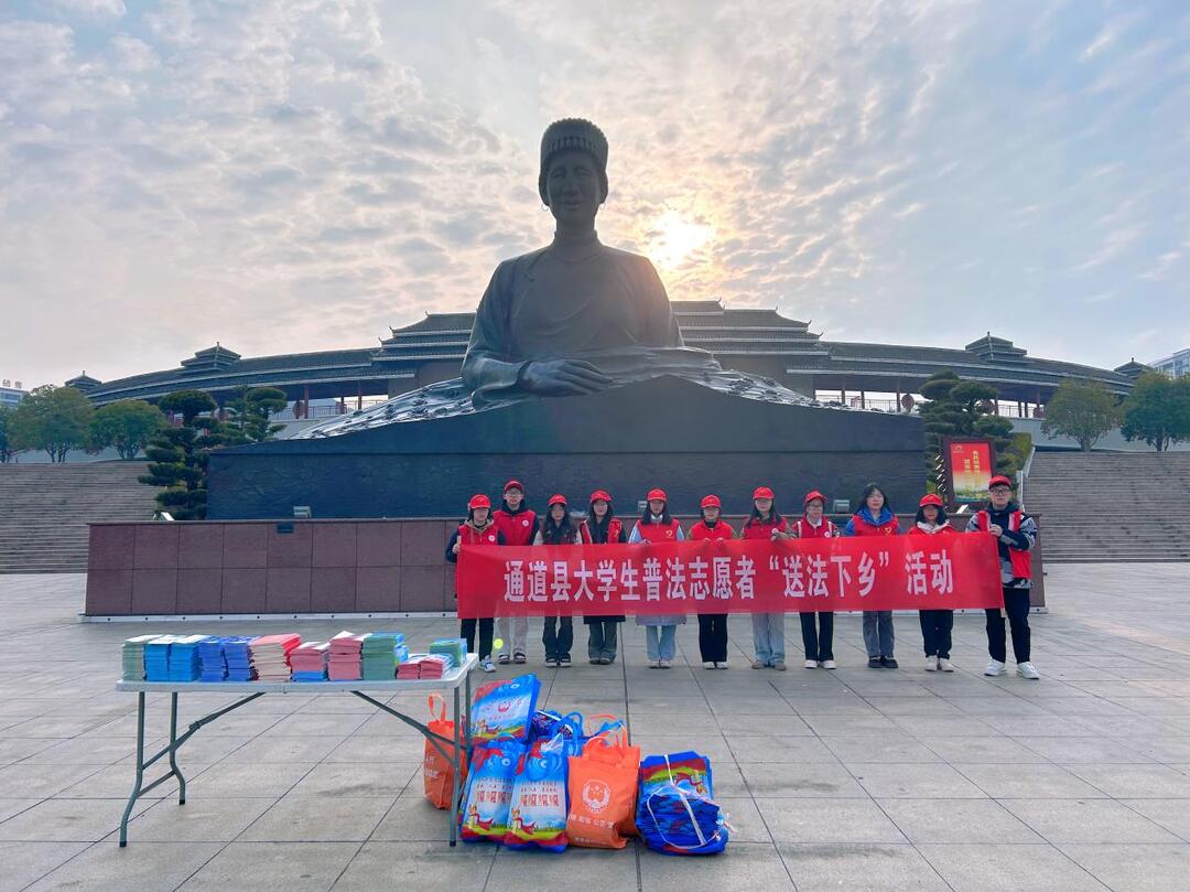 青春与法治同频共振——2025年通道县大学生寒假“送法下乡”活动火热进行