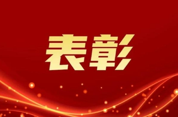 湘西人大代表工作获省人大三项表彰