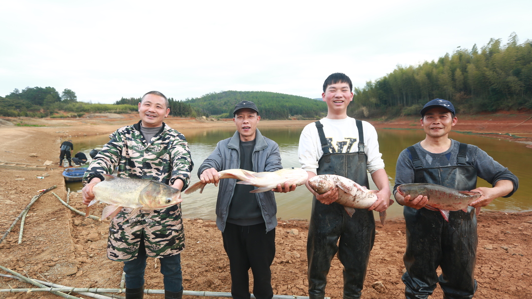 桂阳：小年捕鱼“鱼满仓” 年年有“鱼”销路旺