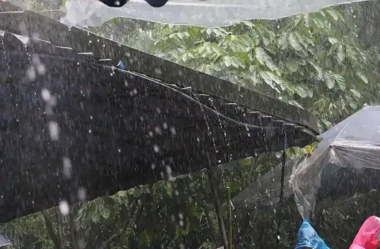 今天湖南大部分地区有雨