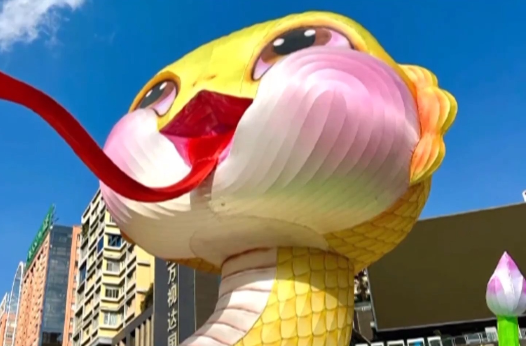 蛇宝宝为啥“兔里兔气”？看看不一样的低碳新“年味”
