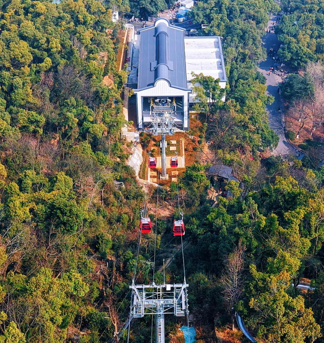​爷青回！岳麓山索道正式回归！