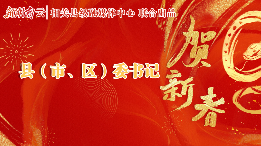 巳巳如意过大年 欢欢喜喜游湖南——2025年湖南县（市、区）委书记贺新春