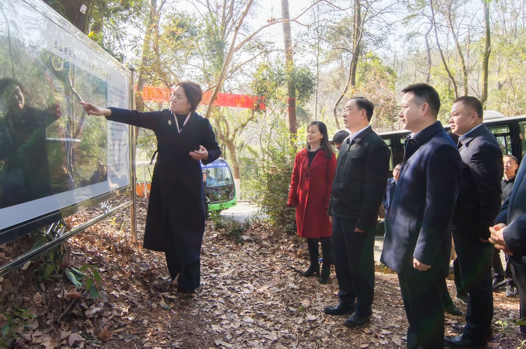 谭勇赴岳麓山风景名胜区检查安全生产工作